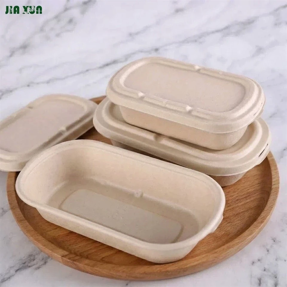 28oz sugarcane box with secure fit lid options (PET or Bagasse)